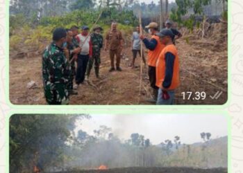 Gerak Cepat Bersatu: Koramil, Kades, Sekcam Dan Warga Padamkan Kebakaran Lahan Tebu 2 Ha Di Kasembon Kab Malang
