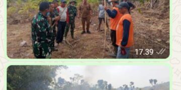 Gerak Cepat Bersatu: Koramil, Kades, Sekcam Dan Warga Padamkan Kebakaran Lahan Tebu 2 Ha Di Kasembon Kab Malang
