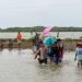 Banjir Rob Paksa Warga Muara Gembong Makamkan Jenazah Di Tanggul, Akses TPI Tak Bisa Dilalui