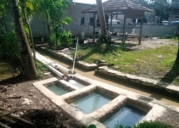 Limbah di Pinggir Sawah: Dapur MBG Bama Barokah Dituding Abaikan Keselamatan Lingkungan