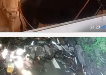 Warga Desa Pakis Kembar Desak Pihak Terkait Tutup Kandang Sapi, Diduga Ilegal Dan Limbahnya Resahkan Warga