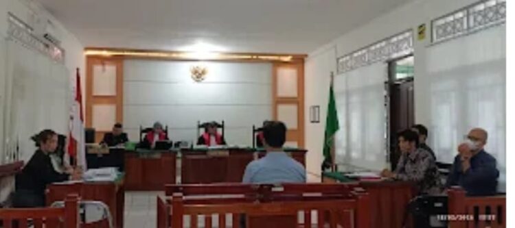 Sidang PMH PN Banjarbaru:Saksi Ungkap Kerugian Hafidz Halim,Dugaan Keterangan Palsu Petinggi P3HI Disorot