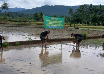 TMMD Ke-127 Kodim 0607 Bangun Kedaulatan Pangan dari Desa Parakanlima