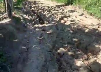 Jeritan Warga Terabaikan, Jalan Pamatang Cidaimah–Cinibung Tak Kunjung Dibangun