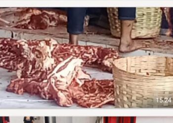 Sambut Idul Adha, DPC PDIP Kota Malang Potong 8 Ekor Sapi dan 3 Kambing
