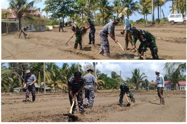 Pematangan Lahan TNI AL  Bojongsalawe untuk Program Ketahanan Pangan TNI AL