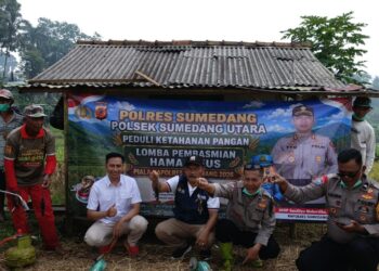 Hut Bhayangkara  Ke-80 Polsek  Sumedang Utara Gandeng Petani Gelar Lomba Basmi Hama Tikus Di Kebonjati
