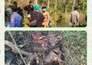 Ditemukan Sosok Mayat Wanita Di Lokasi Terpelosok Sukabumi, Polisi Gerak Cepat Lacak Identitas Korban
