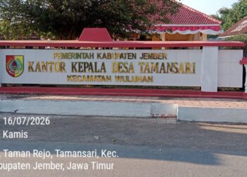 Perangkat Desa Tamansari, Diperiksa Tipikor Polres Jember Atas Dugaan Korupsi 44,7 Hektar TKD Terbongkar