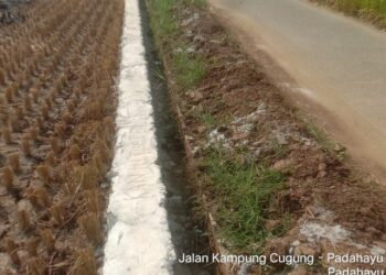 Diam Seribu Bahasa! PLT Satker P3-TGAI dan KMB BBWS C3 Jadi Sorotan, Dugaan Penyimpangan Proyek Rp195 Juta Mencuat