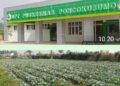 Perencanaan Asal Asalan Proyek Puskesmas Poncokusumo 6 M Usai Dibangun Mangkrak, Publik Desak Audit Hukum & Pertanggungjawaban