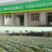 Perencanaan Asal Asalan Proyek Puskesmas Poncokusumo 6 M Usai Dibangun Mangkrak, Publik Desak Audit Hukum & Pertanggungjawaban