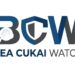 BCW Kritik Strategi Gempur BKC Ilegal: Jangan Sibuk Edukasi Masyarakat, Bongkar Pemain Besar Dan Jaringannya
