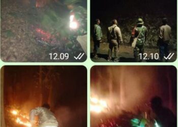 Gerak Cepat Koramil Kasembon Bersama Warga Padamkan Kebakaran Hutan Mahoni di Dusun Bocok Desa Pondok Agung Kec.Kasembon Kab Malang
