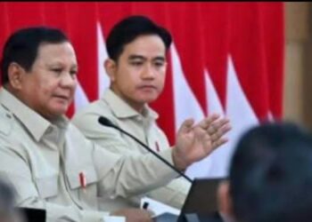 Dua Tahun Pemerintahan Prabowo-Gibran, Ruang Evaluasi Untuk Masa Depan Yang Lebih Baik